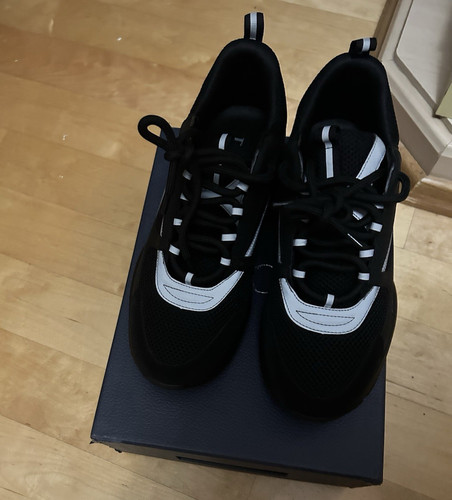 Dior b22 black